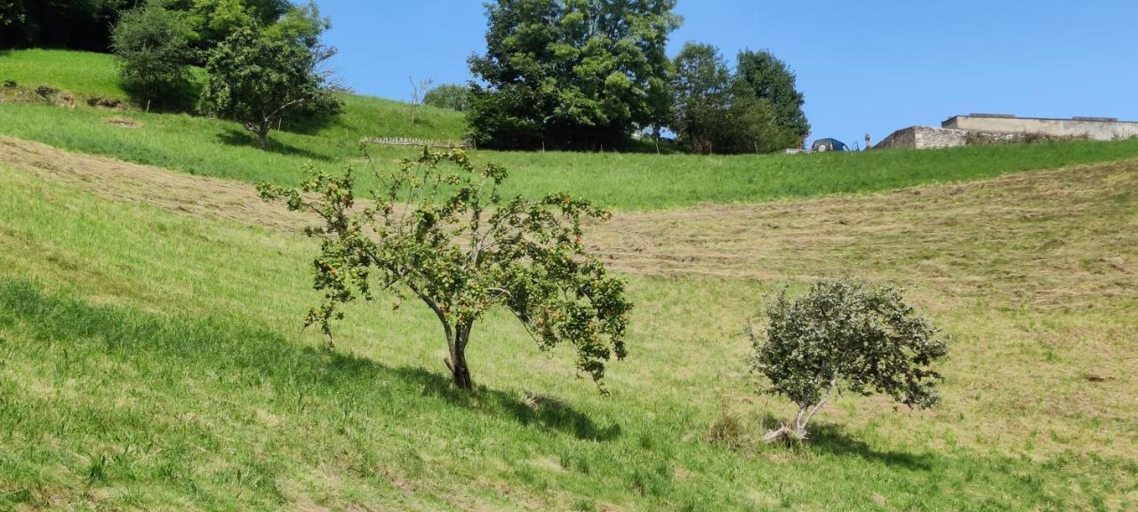 Casa Rural Apartamentos Angel Inguanzo Arenas De Cabrales ภายนอก รูปภาพ