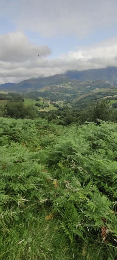 Casa Rural Apartamentos Angel Inguanzo Arenas De Cabrales ภายนอก รูปภาพ